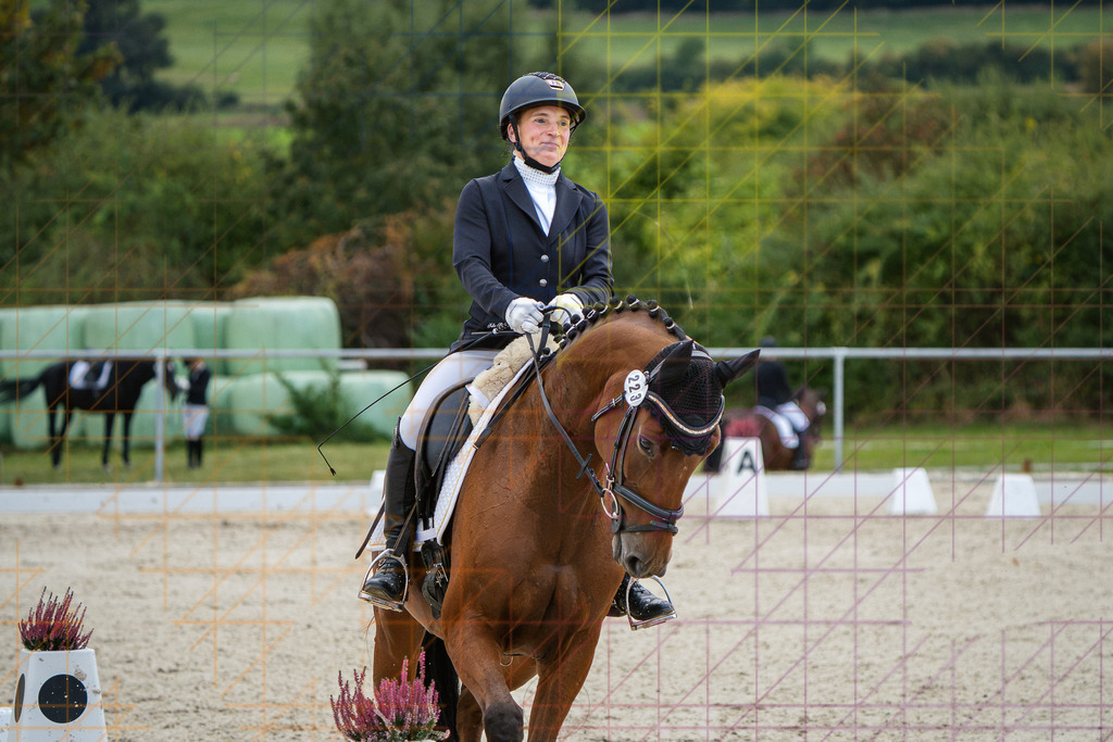 202609261643DSC08470 | Mario Konang lightrecords.de - Realisiert mit Pictrs.com