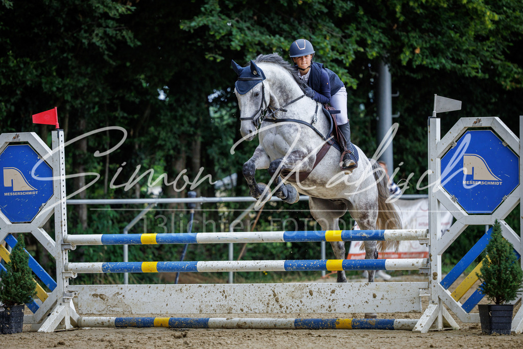 20260705-_3LI5055 | Tierfotografie Pferde, Hunde, Katzen, Haustiere.
Turnierfotografie Reitturniere, Reiten, Springreiten, Dressur in Hanau, dem Main-Kinzig-Kreis und dem Rhein-Main- Gebiet um Frankfurt