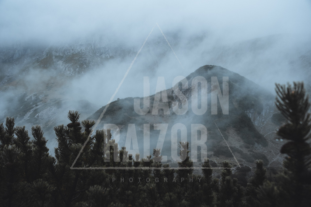 DSCF5896 | jasonraizor - Realisiert mit Pictrs.com