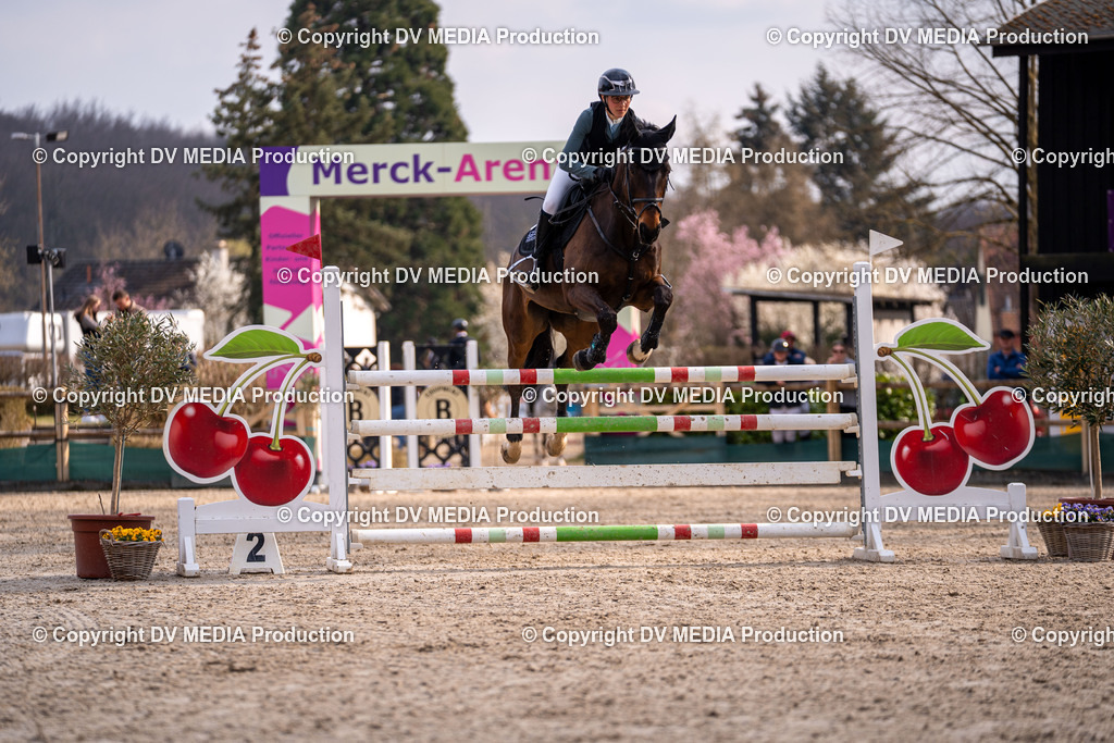 Kranichstein Tag 2-2203 | dv-media-shop - Realisiert mit Pictrs.com