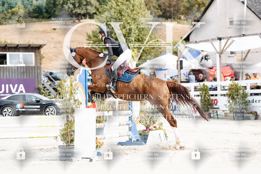 CK908875 | Turnierfotografie Pferdefotografie Trier Rheinland-Pfalz Pferdesport Reitsport Tierfotografie Sportfotografie Pferdevideo Pferdevideografie Equestrianvideography equestrianphotography  - Realisiert mit Pictrs.com