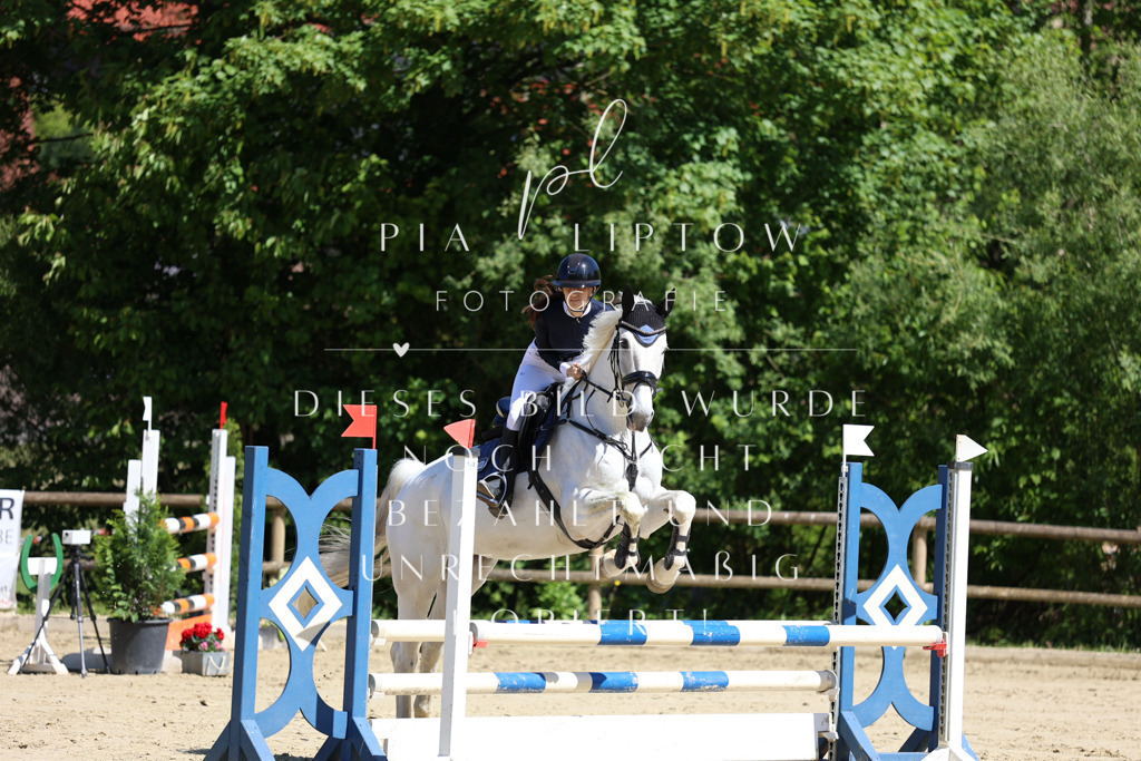 IMGS7362 | pl-fotografie