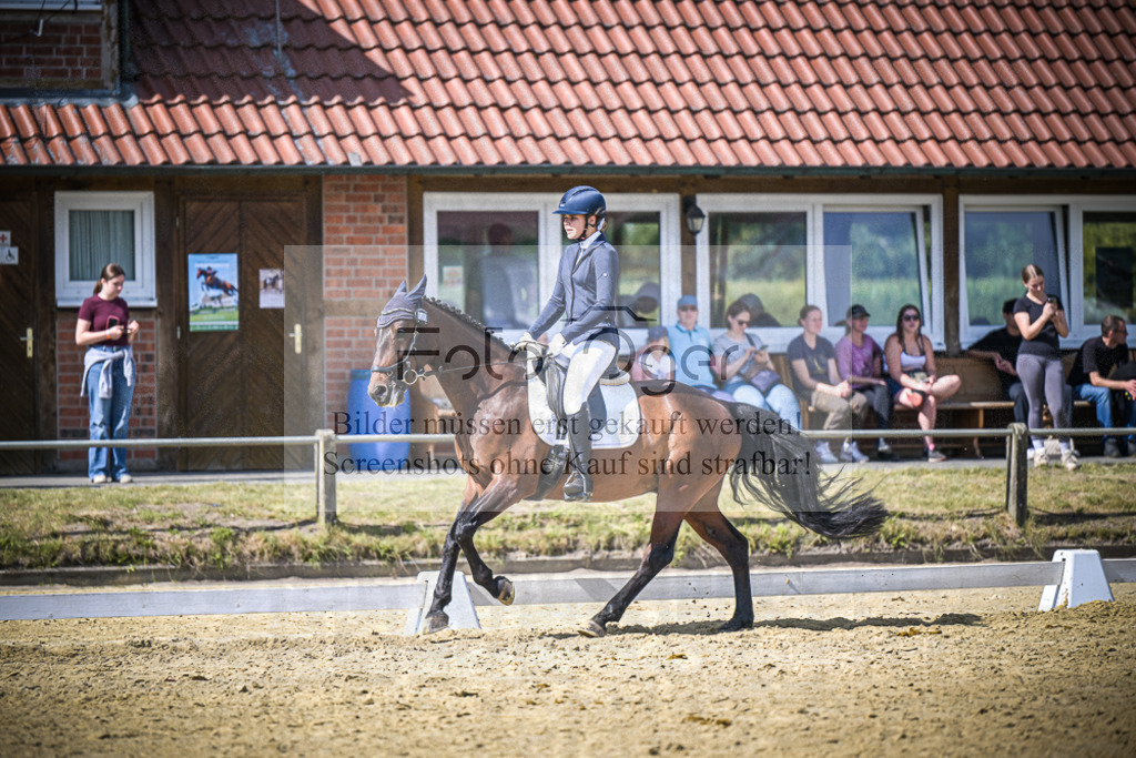 DOS_7708 | Entdecke hochwertige Reitturnierfotos von Foto Oger. Professionell, emotional und authentisch – jetzt Lieblingsmomente im Shop bestellen.Deutschlandweite Turnierfotografie. - Realisiert mit Pictrs.com