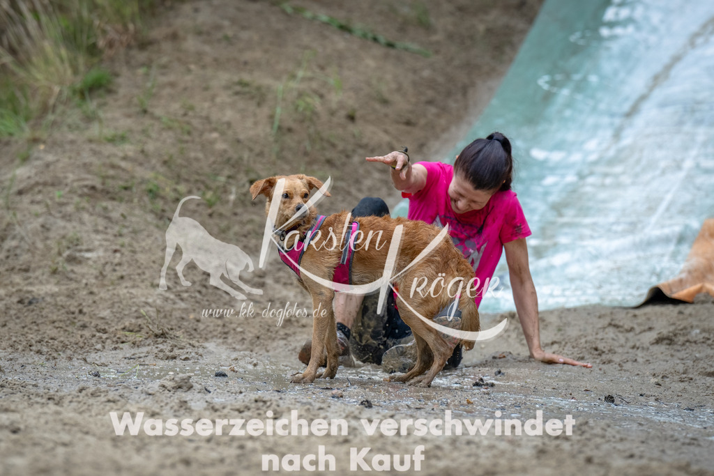 1251_ZZ90470-Bearbeitet | kk-dogfotos