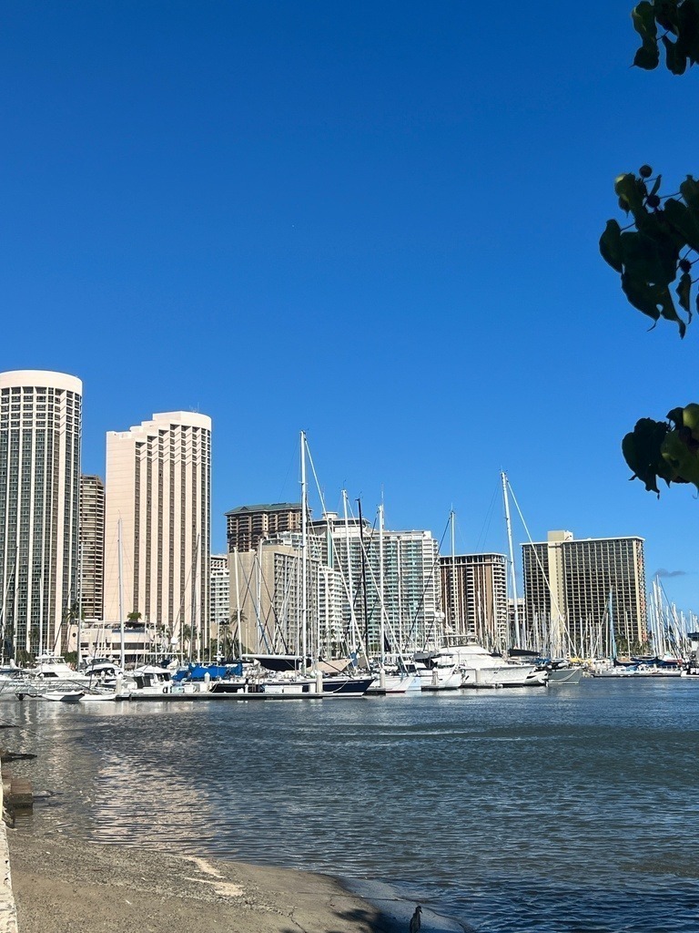 IMG_7712 | ace - Realisiert mit Pictrs.com