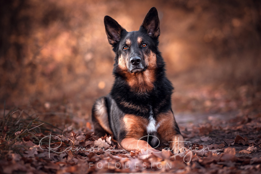 EY4A7074 | ramonarathjen-fotodesign - Realisiert mit Pictrs.com