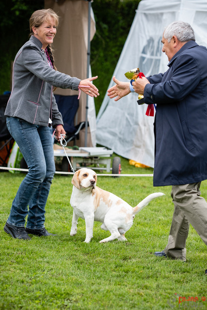 Clubsiegershow BCS  | Clubsiegershow BCS in Villmergen. 14.05.2023 Foto: Leo Wyden