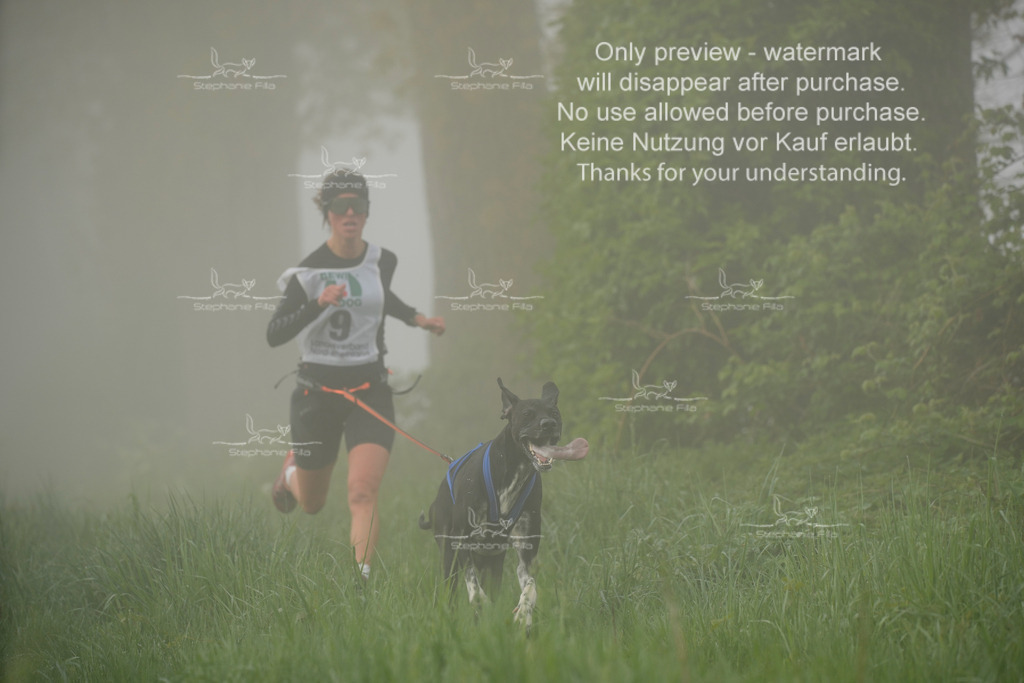 SA_GL2-49 | stephaniefillaphotographie - Realisiert mit Pictrs.com