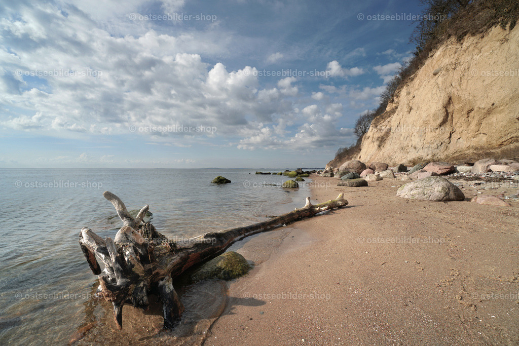 Treibholz zwischen Wasser und Strand | Ein abgestürzter Baum liegt als Treibgut am Strand des Zickerschen Höfts im Mönchgut. Beim nächsten Hochwasser wird die Reise fortgesetzt. Vom Ufer aus geht der Blick auf den Rügischen Bodden.