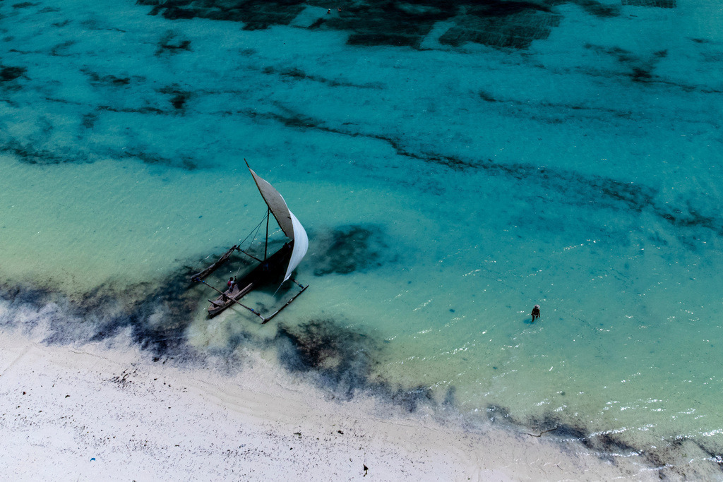 Aerial Paradise in Zanzibar | An aerial view of Zanzibar’s lush landscape and serene coastline, captured from above for a breathtaking perspective.