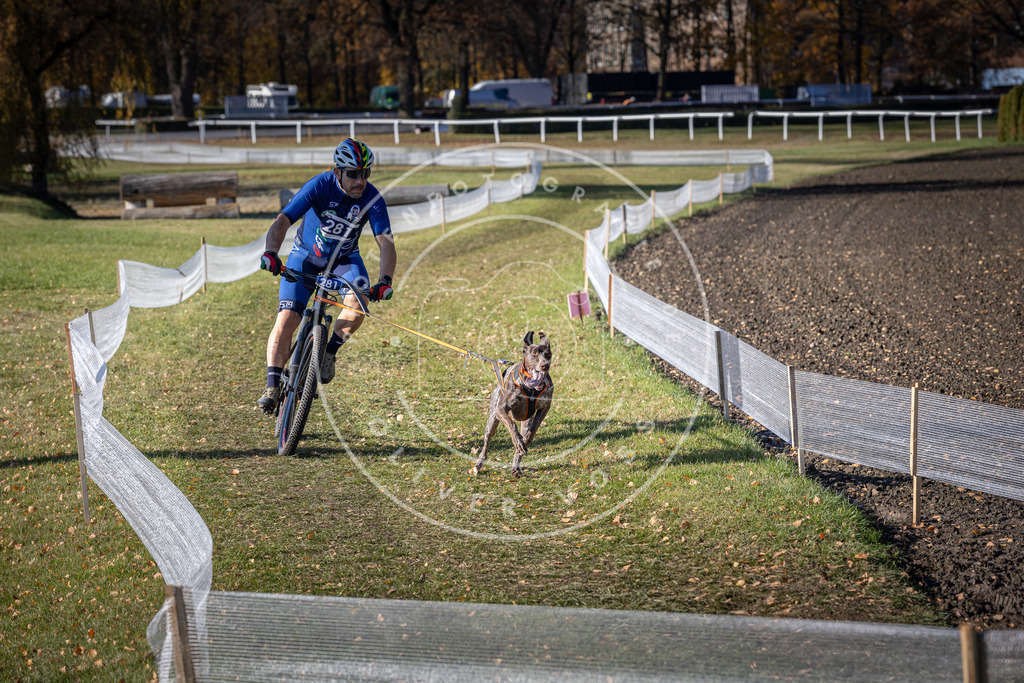CaniXpix_DV3A5517 | Hundefotografie, Tierfotograf, Pfotenfotografie, Fotoshooting Hund, Hunde Portrait, Hundesport, Hundeportraits, Heideshooting, Hunde, Sportfotograf, Hundefotograf, Turnierhundsport, THS,  - Realisiert mit Pictrs.com