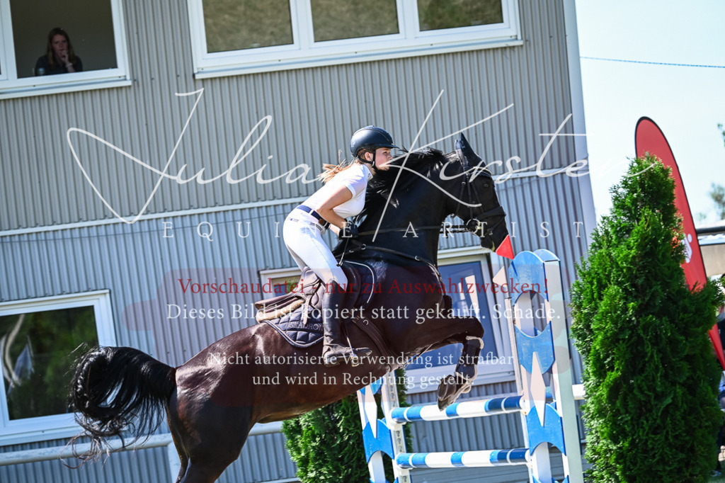 DSC_1009 | Pferde- und Turnierfotografie in Westsachsen. Pferdeportraits, Auftragszeichnungen und intuitive Kunst.