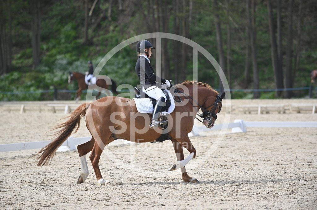 DSC_4610 | sattelsport - Realisiert mit Pictrs.com