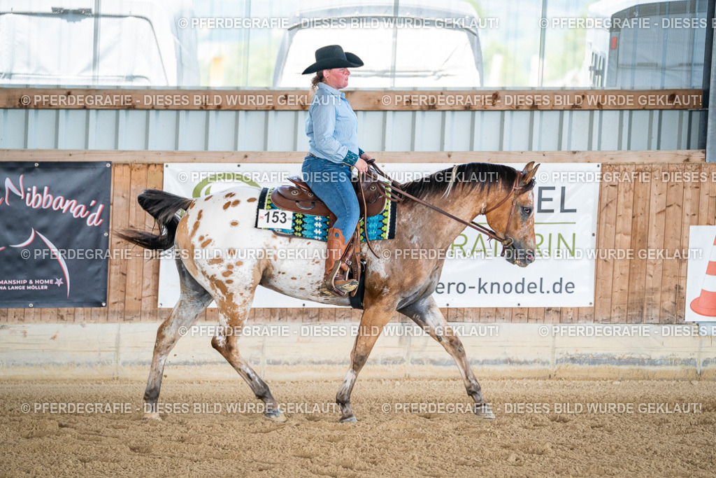 DSC02100 | Pferdegrafie