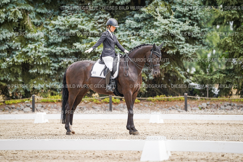 DSC02957 | Pferdegrafie