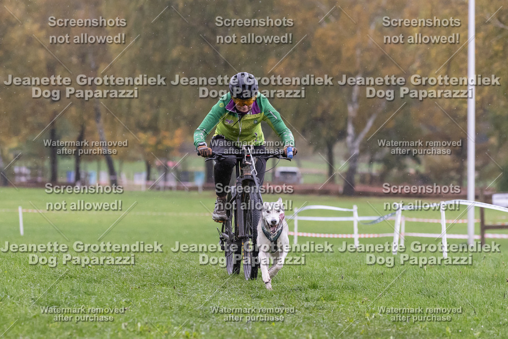 Dog Paparazzi - SD CaniX Championship 2025-937 | Dog Paparazzi Jeanette Grottendiek Fotografie & Videografie - Realisiert mit Pictrs.com