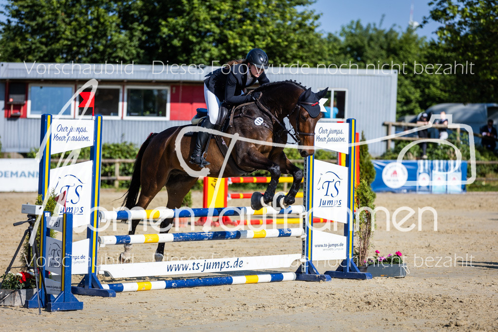 Donop24-ASpr-110 | MomenTaufnahmen Pferdesportfotos