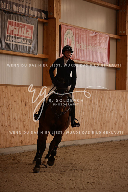 1J2A2287Lilli Plath_ Stakkato_s Diva_ Kn453_ Hohen Wieschendorf_ Glantz | Foto- und Videografie für alles rund ums Pferd. Hochwertige Bilder und Videos vom Spring- und Dressurreiten, Voltigieren & mehr. Jetzt aktuelle Veranstaltungen und Preise im Shop ansehen. - Realisiert mit Pictrs.com