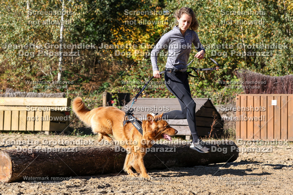 Dog Paparazzi - Strongdog 10-25-2397 | Dog Paparazzi Jeanette Grottendiek Fotografie & Videografie - Realisiert mit Pictrs.com