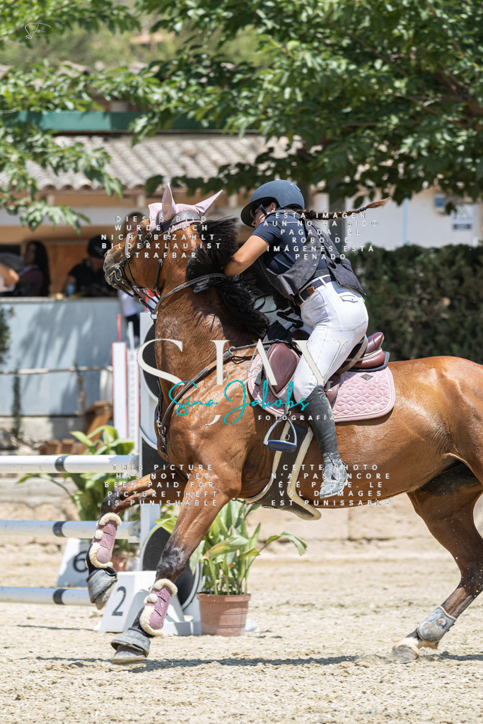 IMG_6674 | s-jay-photography - Realisiert mit Pictrs.com