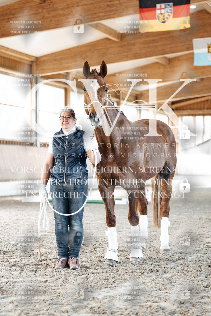 CK906118 | Turnierfotografie Pferdefotografie Trier Rheinland-Pfalz Pferdesport Reitsport Tierfotografie Sportfotografie Pferdevideo Pferdevideografie Equestrianvideography equestrianphotography  - Realisiert mit Pictrs.com