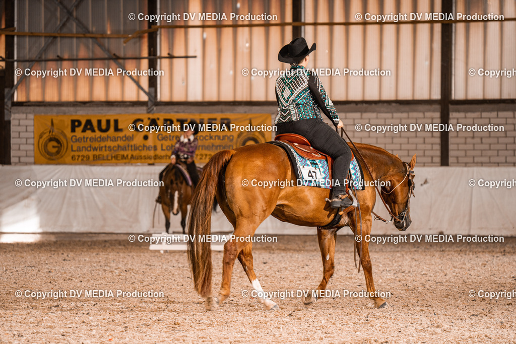 ZH100141 | dv-media-shop - Realisiert mit Pictrs.com