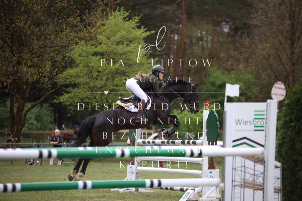 IMGT1685 | pl-fotografie