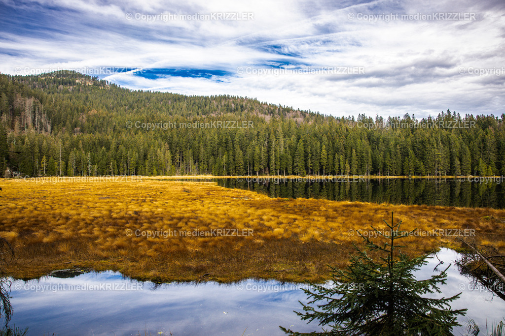 _J3A9075 | medienkrizzler - Realisiert mit Pictrs.com