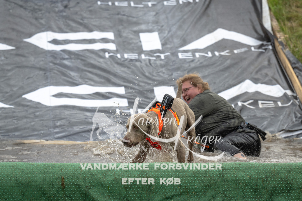 1618_ZZ90064 | kk-dogfotos