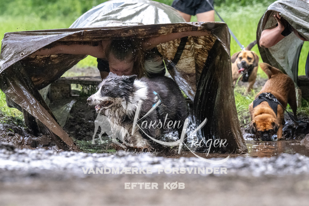 1257_ZZ94375 | kk-dogfotos