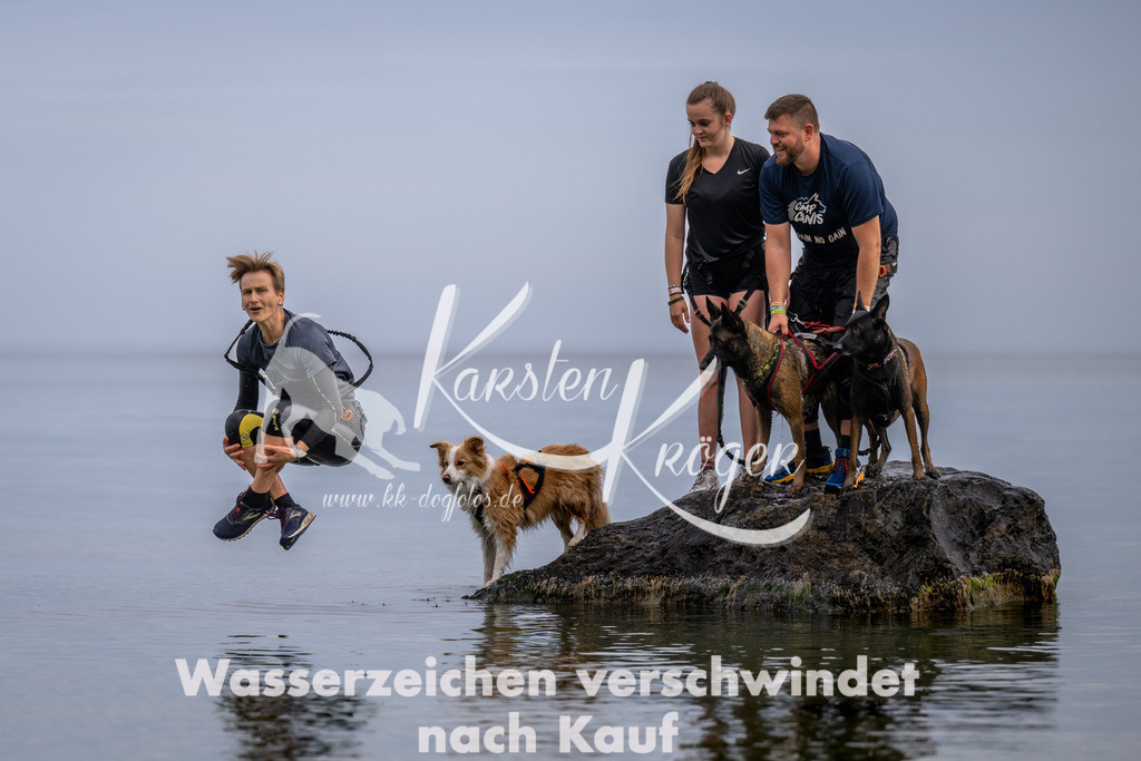1223_ZZ91382 | kk-dogfotos