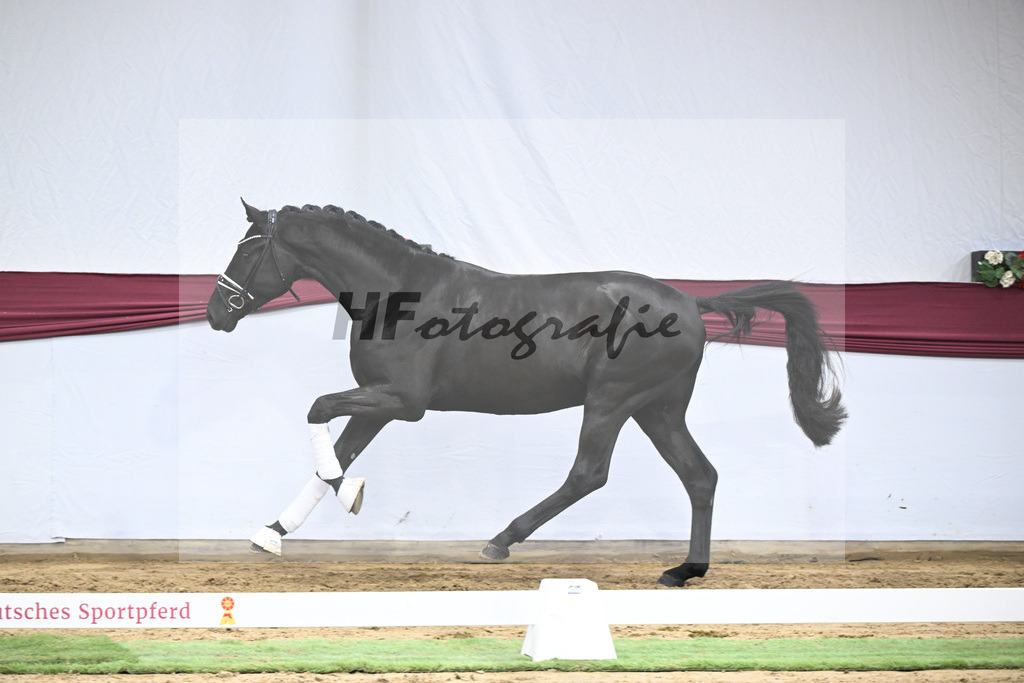 Kat-Nr. 39 Secret x Finest_Ignaz Berger_47251365 | hf-fotografie - Realisiert mit Pictrs.com