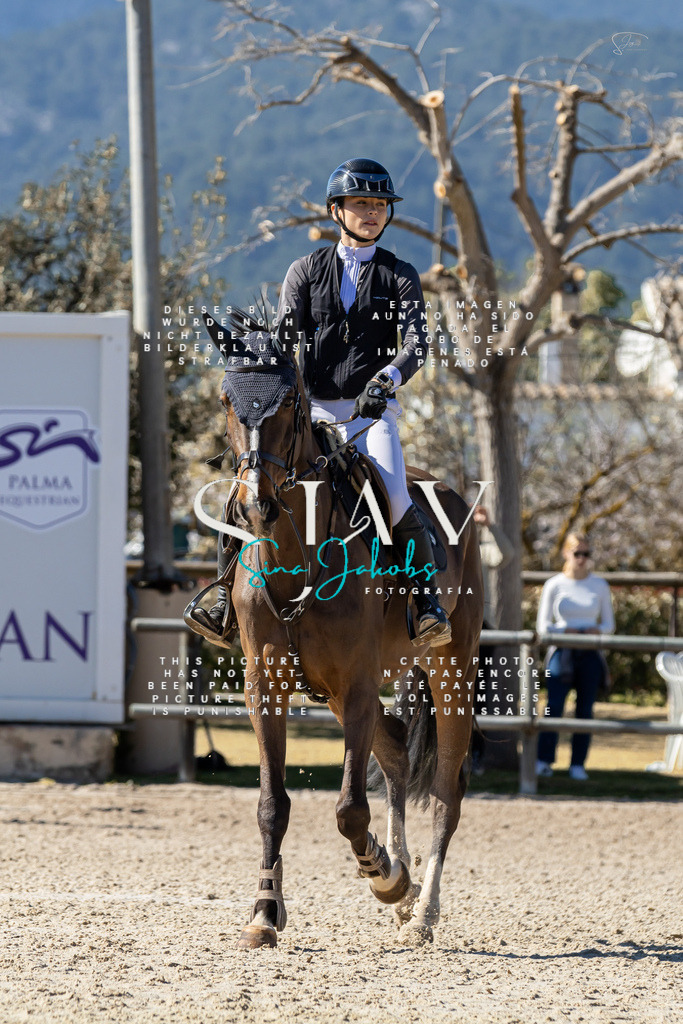 IMG_0669 | s-jay-photography - Realisiert mit Pictrs.com