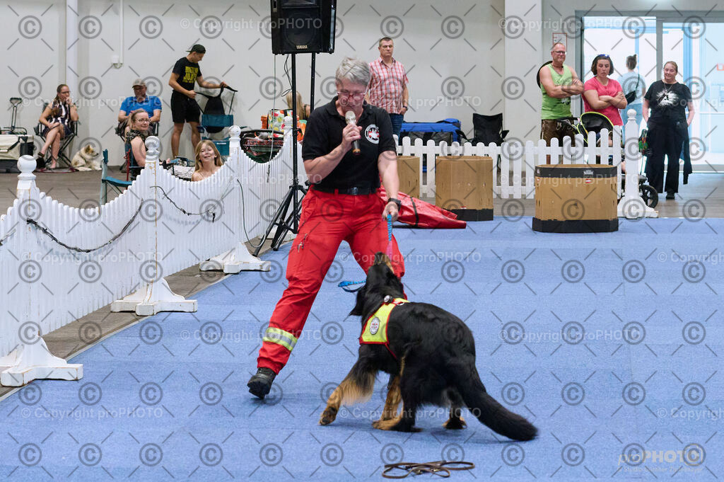 202406_ÖKV-IHA-Tulln24_DSC_3473 | proPHOTO - Realisiert mit Pictrs.com