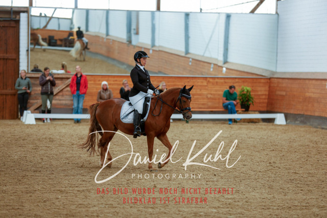 _62_5802 | Turniersportfotografie; Pferdefotografie; Dressurfotografie