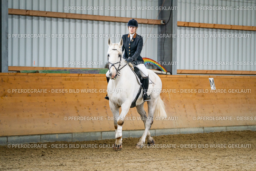 DSC00714 | Pferdegrafie