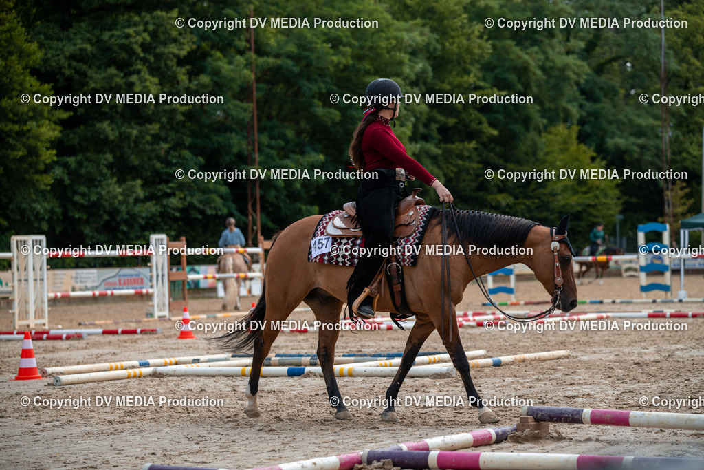 ZS3_9288 | dv-media-shop - Realisiert mit Pictrs.com