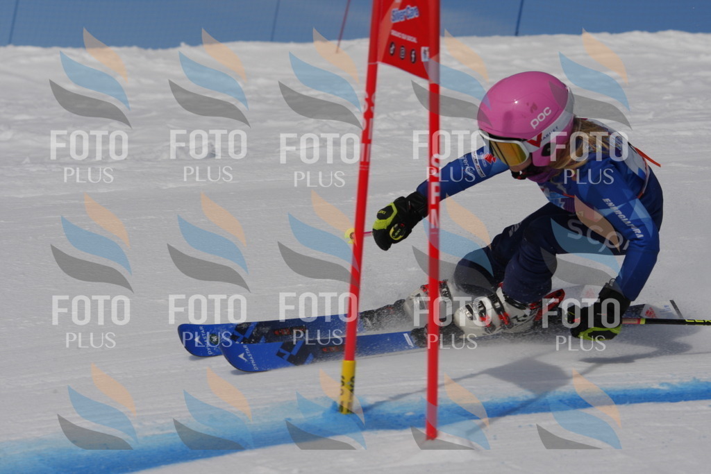 _W1G0270 | holidayphoto