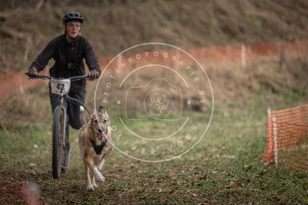 Pfotenfotografie_DV3A0549 | Hundefotografie, Tierfotograf, Pfotenfotografie, Fotoshooting Hund, Hunde Portrait, Hundesport, Hundeportraits, Heideshooting, Hunde, Sportfotograf, Hundefotograf, Turnierhundsport, THS,  - Realisiert mit Pictrs.com