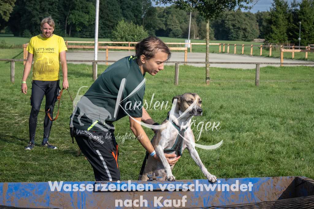 1644_ZZ93006 | kk-dogfotos