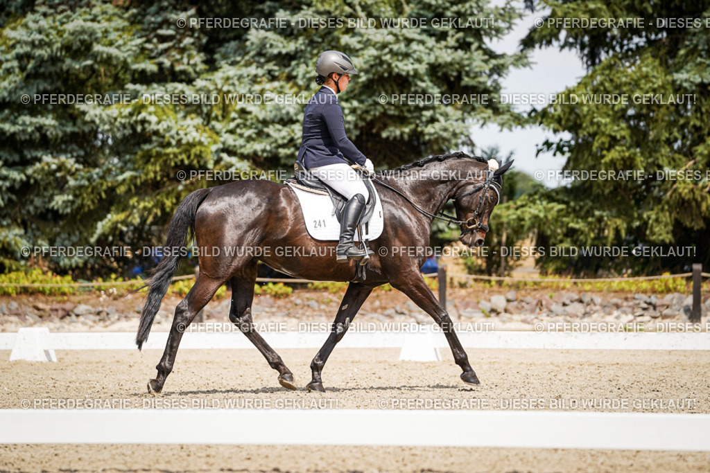 DSC02977 | Pferdegrafie