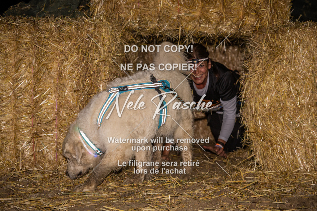 nelerasche_FrNacht_388 | nelerasche