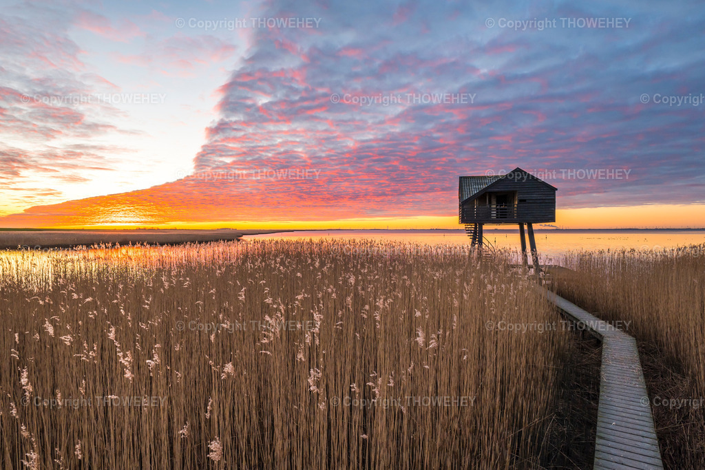 _1026891 | thowehey - Realisiert mit Pictrs.com