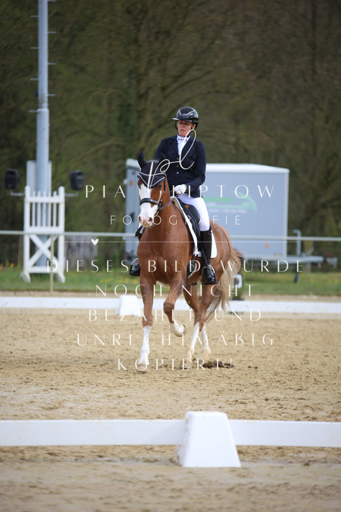 IMGT6925 | pl-fotografie