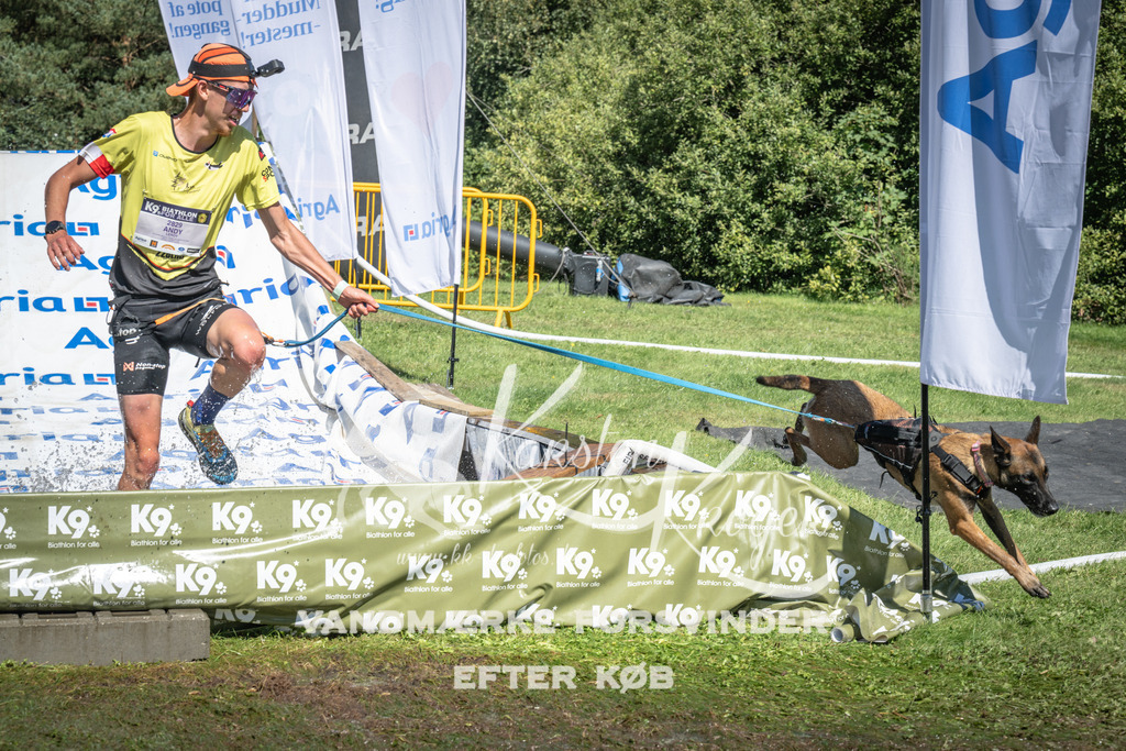 1440_ZZ95565 | kk-dogfotos