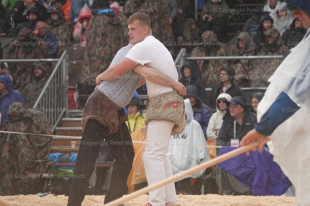 DSC03905 | Schwingen - Realisiert mit Pictrs.com