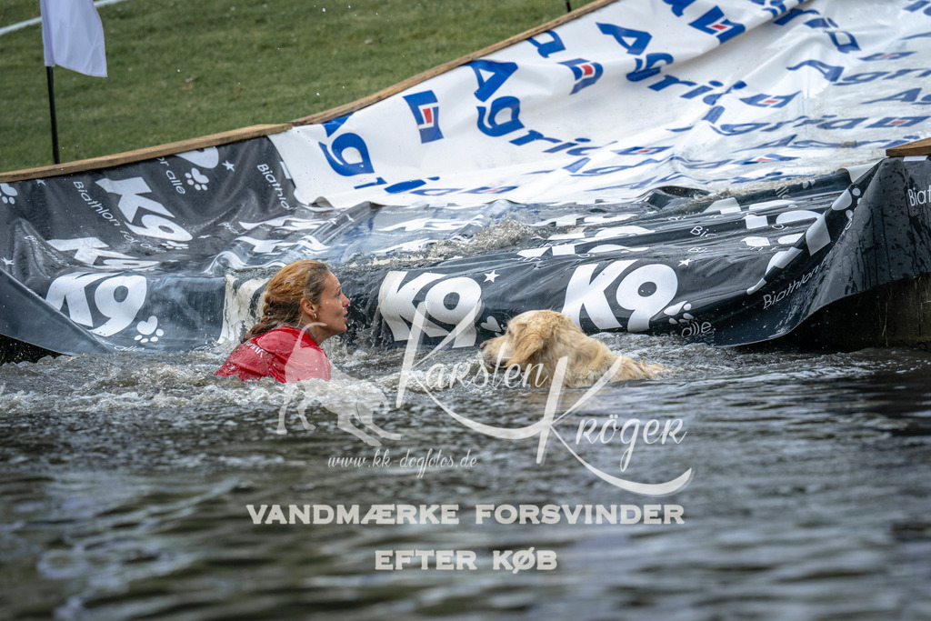 1531_ZZ95293 | kk-dogfotos