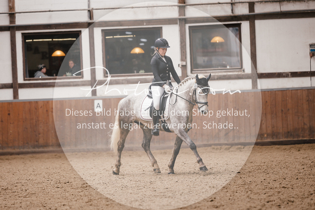3I6A7449 | Stimmungsvolle Portraits und Reitsportfotografie im Ruhrgebiet und im Münsterland.

Pferdefotografie, Hundefotografie, Tierfotografie, Reportagen, Portraits von Tier und Mensch, Turnierfotografie in Bochum, Recklinghausen, Marl, Haltern am See, Dülmen.. - Realisiert mit Pictrs.com