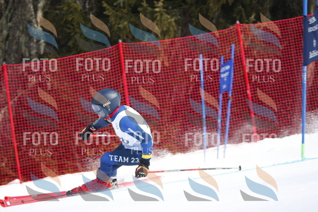 D7623 | holidayphoto