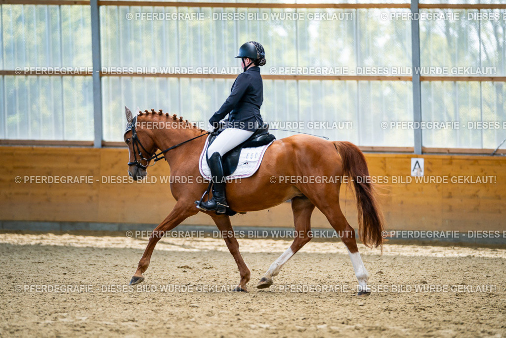 DSC05312 | Pferdegrafie